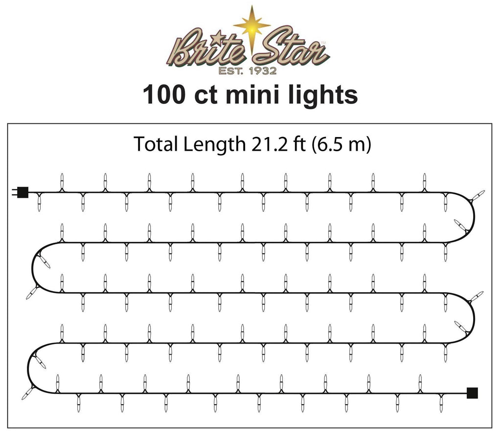 100 Count Mini String Christmas Lights, Clear - 22 Feet Indoor/Outdoor Christmas Tree Lights with Green Wire