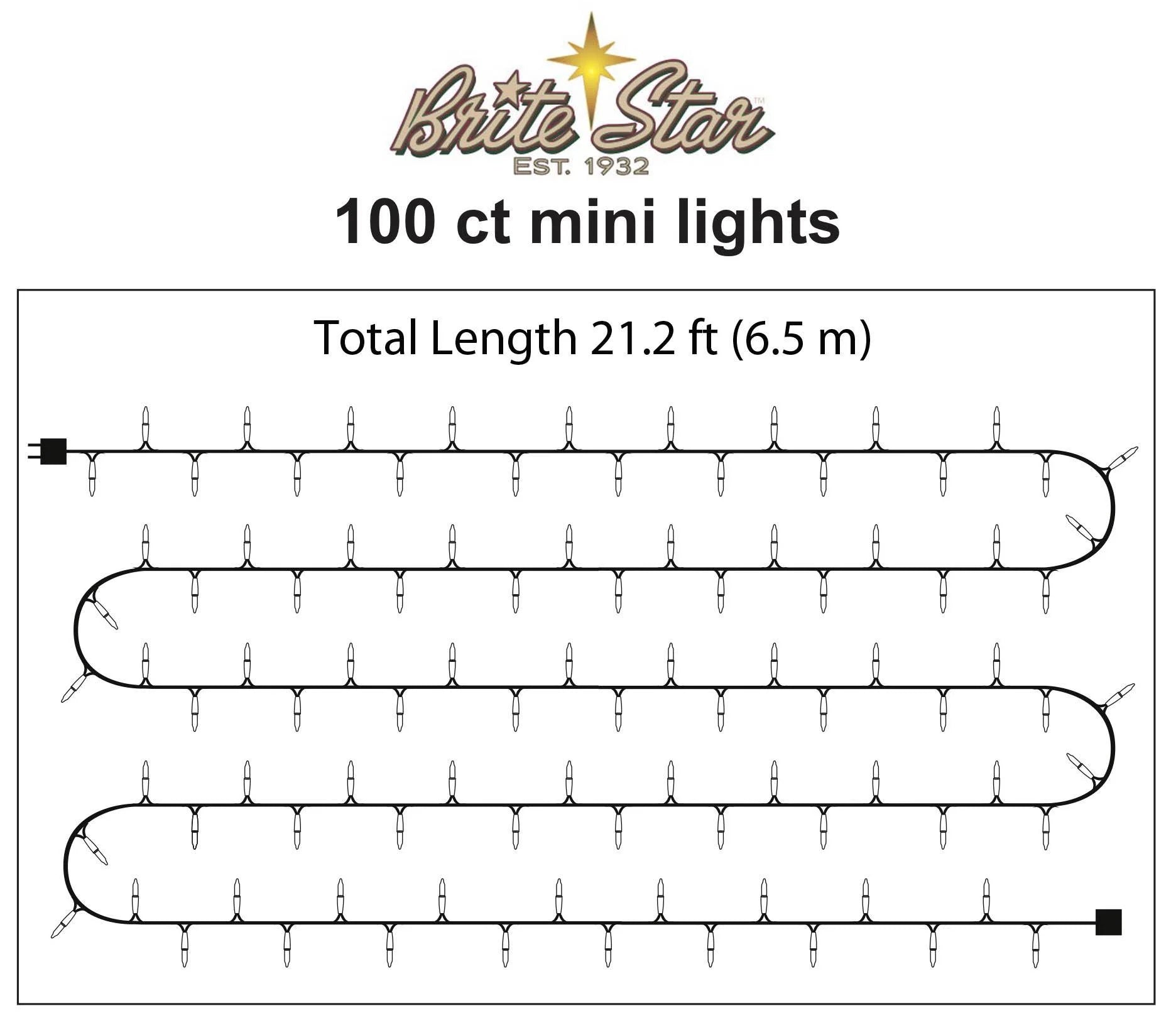 100 Count Mini String Christmas Lights, Clear - 22 Feet Indoor/Outdoor Christmas Tree Lights with Green Wire